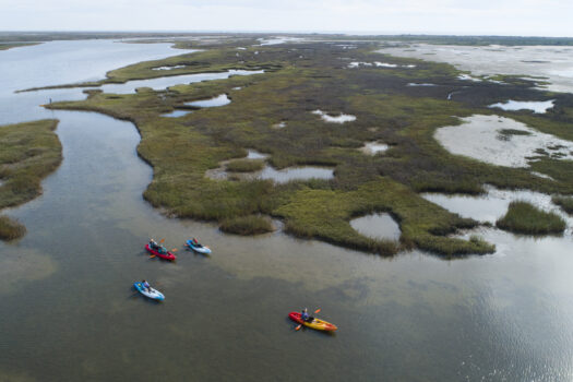 Four people paddle kayaks in a calm marshland, surrounded by water and green patches of grass. The scene is tranquil and viewed from above, with wide waterways and open sky in the distance.