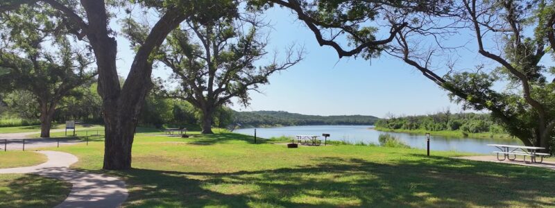 A group of grassy campsites. Green grass and trees in front of a wide lake.