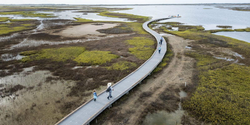 An aerial view of people walking on a winding boardwalk through a coastal marshland, surrounded by water, green vegetation patches, and open sky.