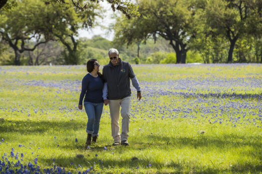 A man and woman walk hand in hand through a sunny field filled with blue and yellow wildflowers, surrounded by green trees in the background.