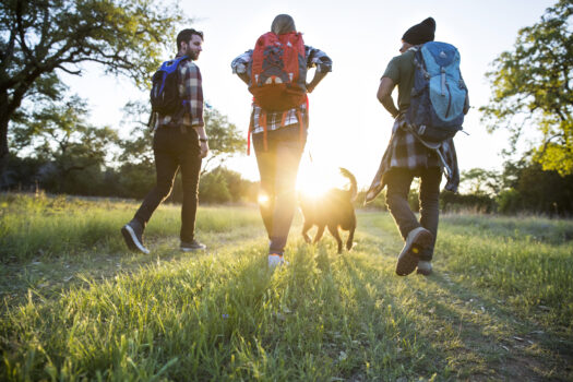 Three people with backpacks and a dog walk along a grassy trail at sunset, surrounded by trees and sunlight filtering through the background.